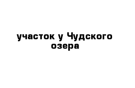 участок у Чудского озера